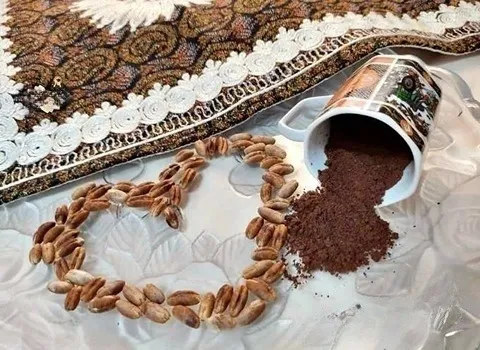 فوائد مسحوق نواة التمر و خصائصها في علاج الشعر و البشرة و الجلد