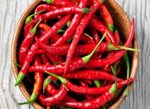 الفلفل الحار اليوم؛ يفتح الأوعية الدموية فيتامين A اندونيسيا الهند Pakistan