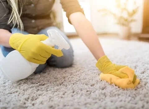 تعلم شراء سائل تنظيف السجاد من صفر إلى مائة