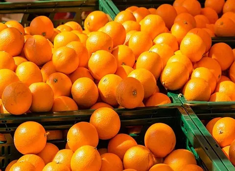 البرتقال في البحرين؛ صفراء حمراء شهي الحلويات السلطات المجففة الفسفور potassium