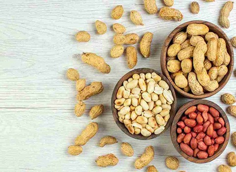 تعلم شراء فول سوداني مملح كرتون من صفر إلى مائة