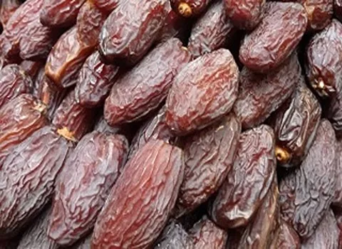 الشراء بالجملة تمر مجهول المغرب بأفضل الظروف