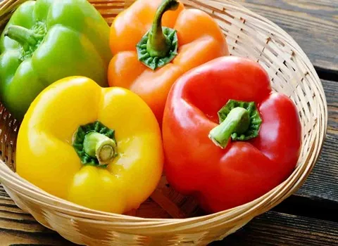 الفلفل في تونس؛ الخضروات مكمل استخداما تزيين الطعام صحيا