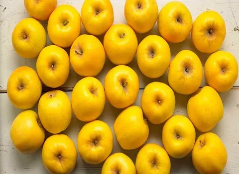 التعارف تفاح اصفر ايطالي من صفر إلى مائة أسعار الشراء بالجملة