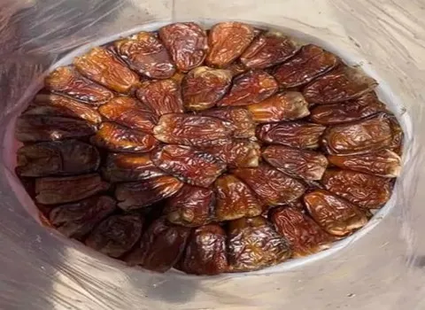 مواصفات تمر البرني في مصر وكيفية الشراء بكميات كبيرة