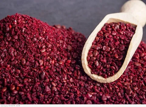 التعارف السماق الاحمر من صفر إلى مائة أسعار الشراء بالجملة