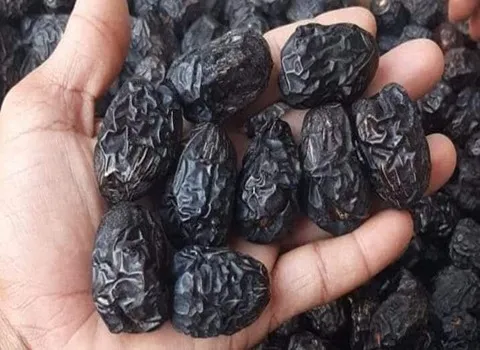 التعارف تمر القرنفلي الاسود من صفر إلى مائة أسعار الشراء بالجملة