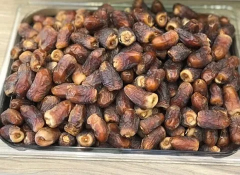 دليل شراء تمر البرني في ليبيا بشروط خاصة وسعر استثنائي