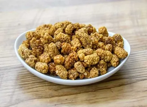 مواصفات توت مجفف ايراني وكيفية الشراء بكميات كبيرة