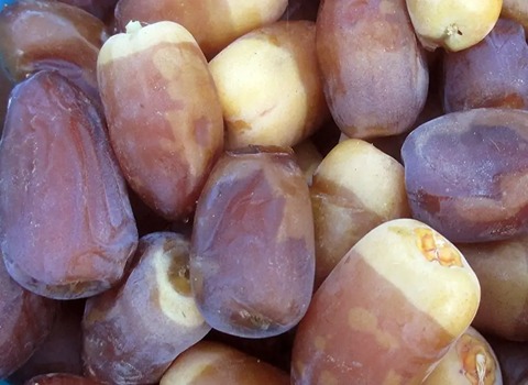 التعارف تمر بريم أصفر من صفر إلى مائة أسعار الشراء بالجملة