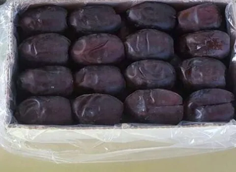 مواصفات تمر علب صغيرة وكيفية الشراء بكميات كبيرة