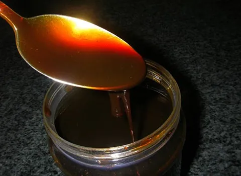 الشراء بالجملة عسل التمر الطبيعي بأفضل الظروف