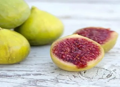 مواصفات تين اصفر كبير وكيفية الشراء بكميات كبيرة