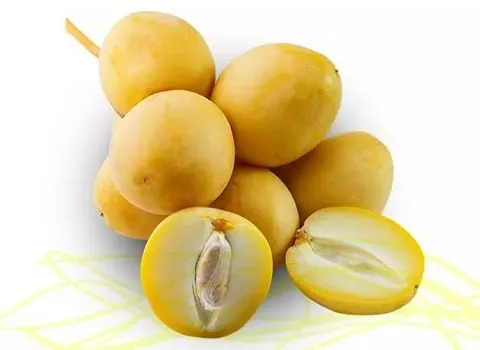 الشراء بالجملة تمر خلال عراقي بأفضل الظروف