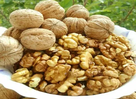 الجوز في دمشق؛ بيضاوية قشرة خشبية علاج الكبد الدهني ميلاتونين Omega 3