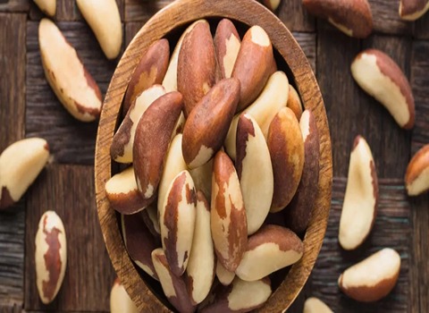 الجوز البرازيلي العضوي مع التفسيرات الكاملة والتعريف