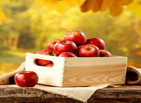 سعر الشراء بالجملة تفاح امريكي احمر رخيص ومعقول