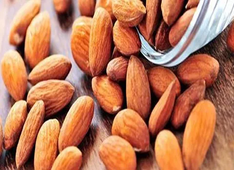 قائمة أسعار لوز بجلي شجرة جملة واقتصادية