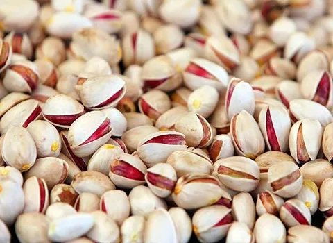 انواع الفستق التركي للبيع