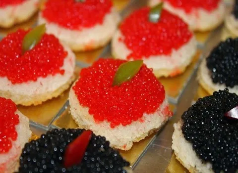 تعلم شراء فوائد كافيار البحر الاحمر من صفر إلى مائة