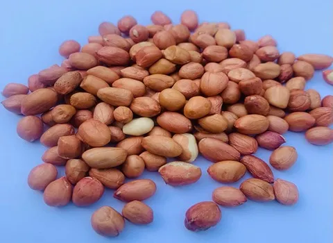 دليل شراء فول سوداني مملح الأصلي بشروط خاصة وسعر استثنائي