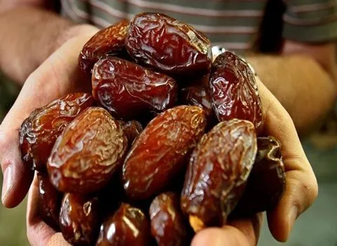 سعر الشراء بالجملة تمر مجهول فاخر رخيص ومعقول