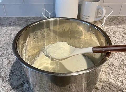 Price and purchase yogurt powder starter with complete specifications