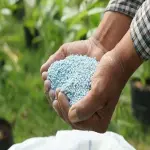nano fertilizer products advantages and disadvantages