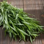 Fresh tarragon leaves with complete explanations and familiarization