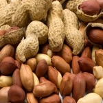 Organic raw peanuts in shell with complete explanations and familiarization