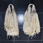 cows large intestine with complete explanations and familiarization