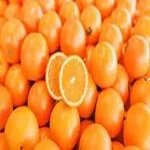 best quality orange buying guide with special conditions and exceptional price
