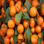 tangerine fruit in hindi with complete explanations and familiarization