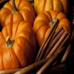 Bulk purchase of real orange pumpkin with the best conditions