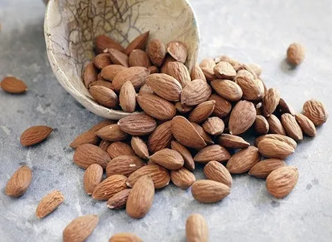 Mamra almond origin and benefits during pregnancy