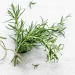 Dried Thyme Price