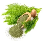 Price and Purchase Dried Dill with Complete Specifications