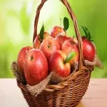 The Amazing Journey of the Apple From Ancient Symbolism to Modern Delicacy