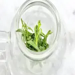 Learning to buy a fresh tarragon tea from zero to one hundred