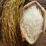 best iranian rice brand with complete explanations and familiarization