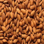 best quality almonds in the world acquaintance from zero to one hundred bulk purchase prices