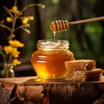 Raw honey jar price list wholesale and economical
