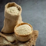 Sesame seed fresh price list wholesale and economical