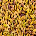Bulk shelled pistachios acquaintance from zero to one hundred bulk purchase prices