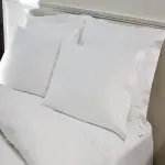 Buy and Current Sale Price of silk pillow covers