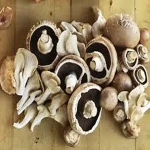 fresh mushroom pasta acquaintance from zero to one hundred bulk purchase prices