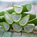 aloe vera drink acquaintance from zero to one hundred bulk purchase prices