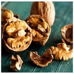 walnut in dry fruit with complete explanations and familiarization