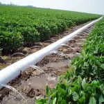 Learning to buy an irrigation water pipe from zero to one hundred