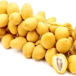 Date palm fresh buying guide with special conditions and exceptional price